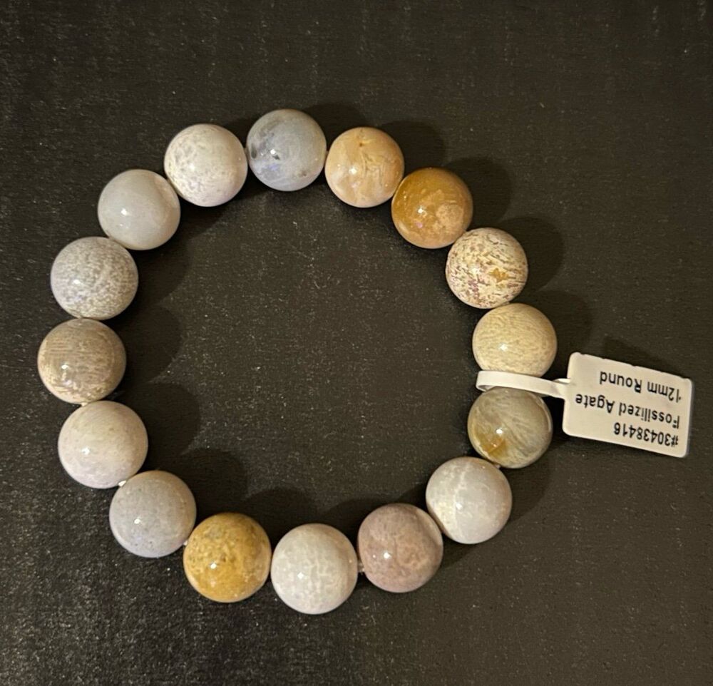 Fossilized Agate 12mm Bead Stretch Bracelet